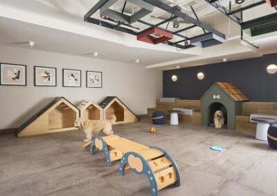 A spacious indoor dog playroom with wooden doghouses, toys, stools, and two dogs—one walking and one sitting inside a doghouse. Framed artwork hangs on the wall.