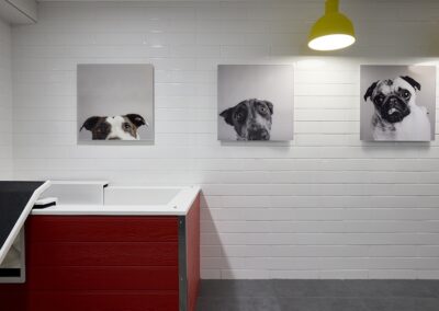A room with white tile walls, a red and white tub, a yellow ceiling light, and three dog portraits hanging on the wall.