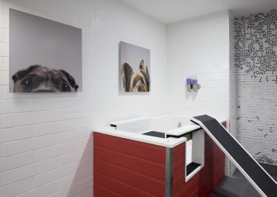 A modern pet washing station with a red and white tub, black ramp, tiled walls, and two framed photos of dog faces on the wall.
